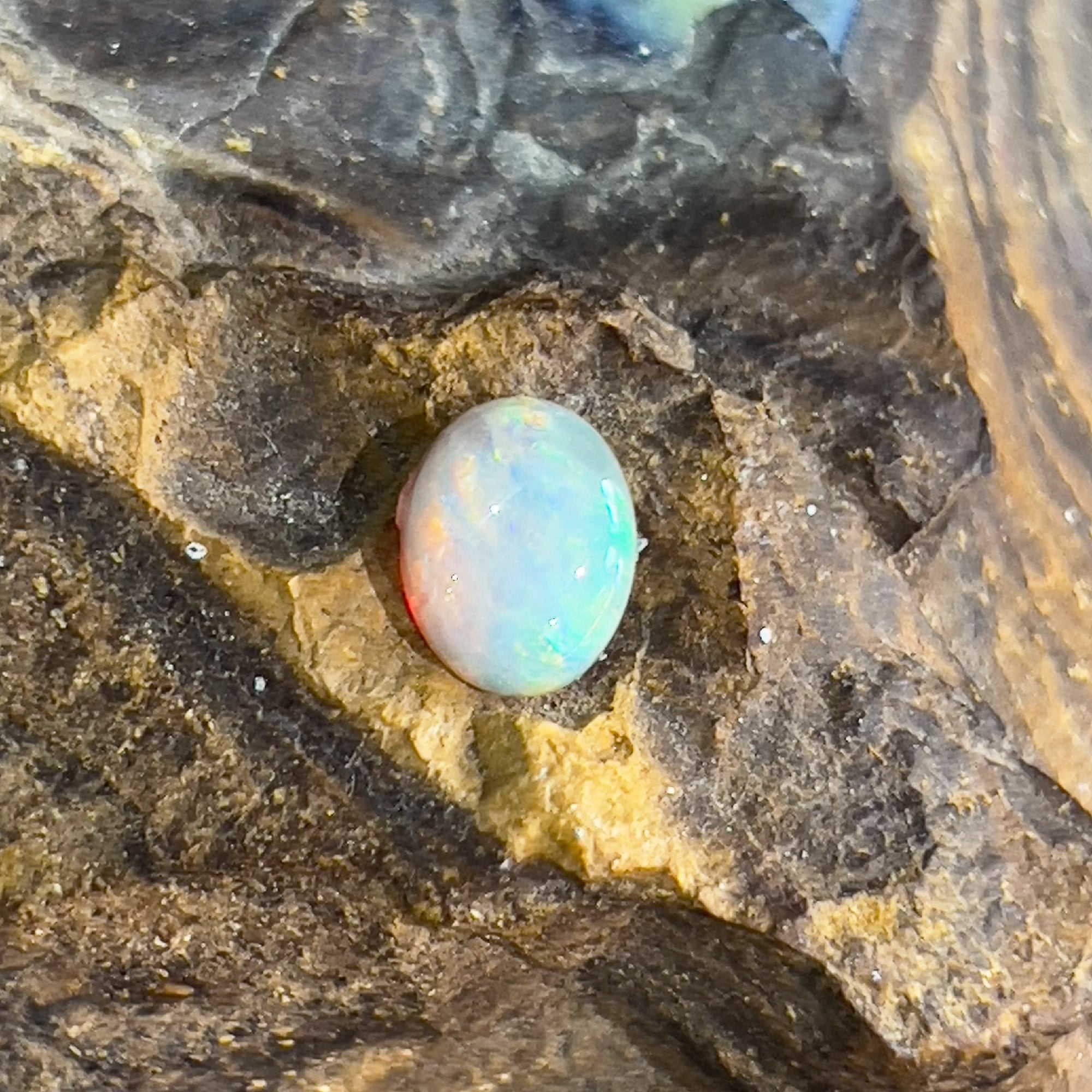 One Oval Light Opal 1.25ct - Masterpiece Jewellery Opal & Gems Sydney Australia | Online Shop