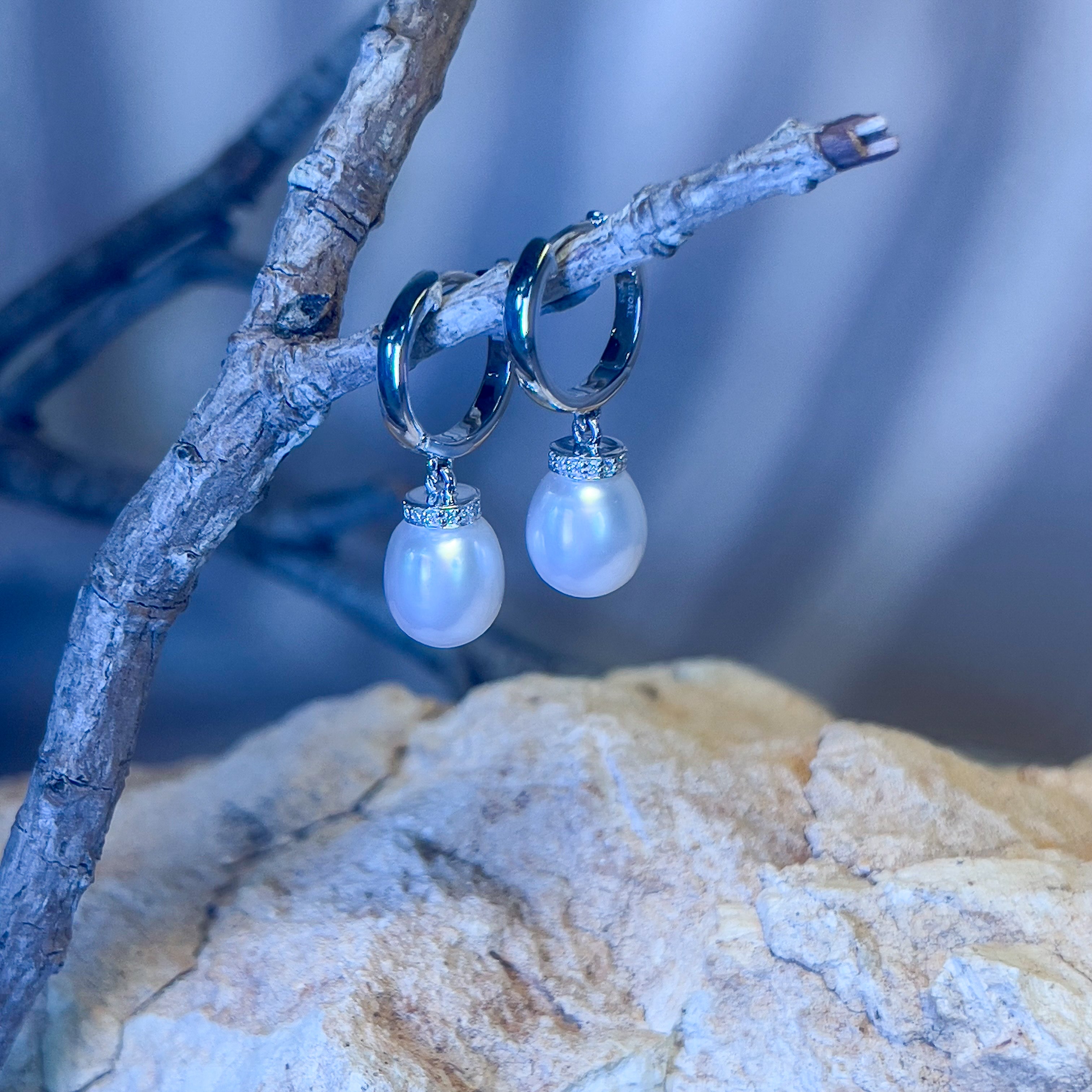 Sterling Silver drop 8mm South Sea Pearl huggie style earrings - Masterpiece Jewellery Opal & Gems Sydney Australia | Online Shop