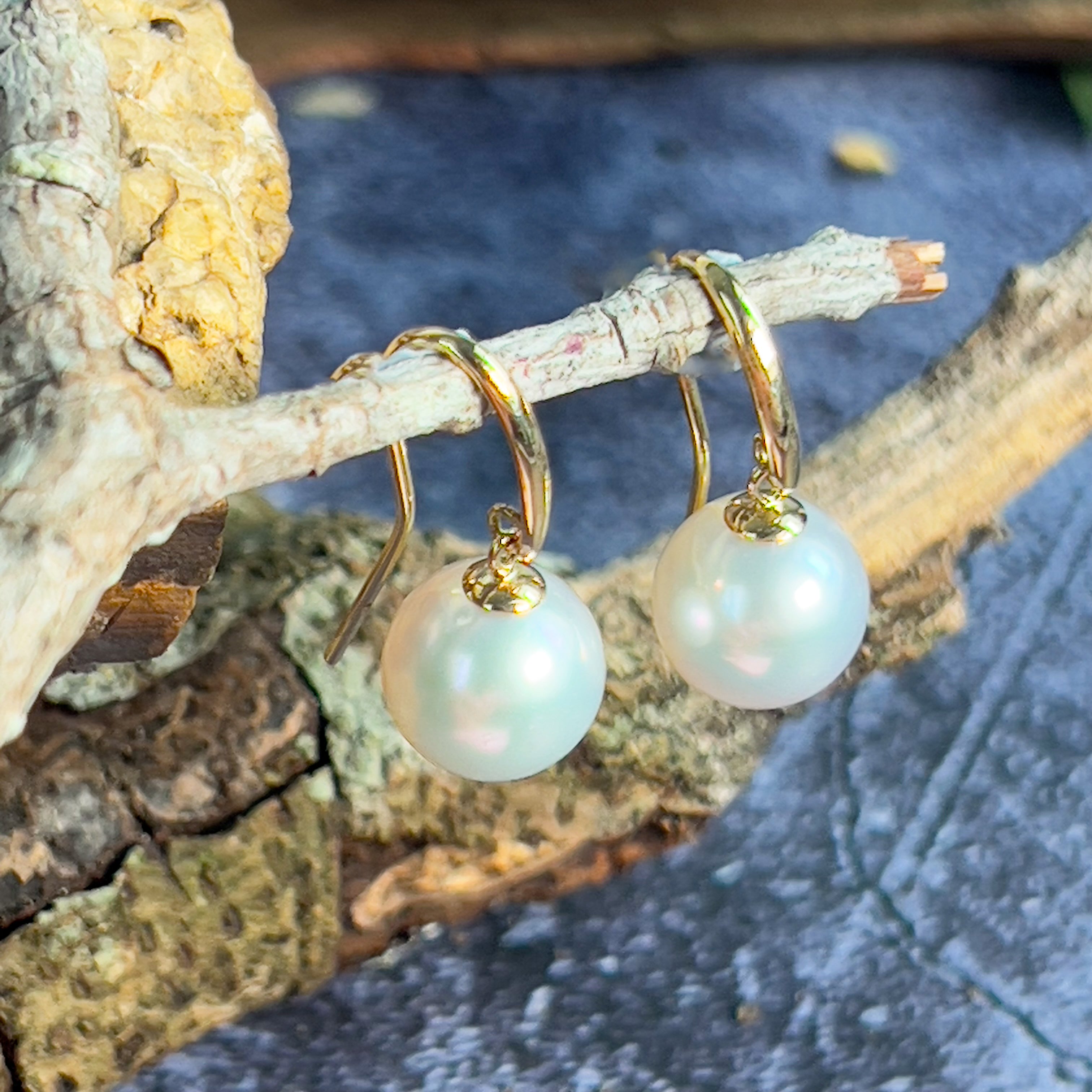 Pair of 10-11mm South Sea 18kt Yellow gold dangling hook earrings - Masterpiece Jewellery Opal & Gems Sydney Australia | Online Shop