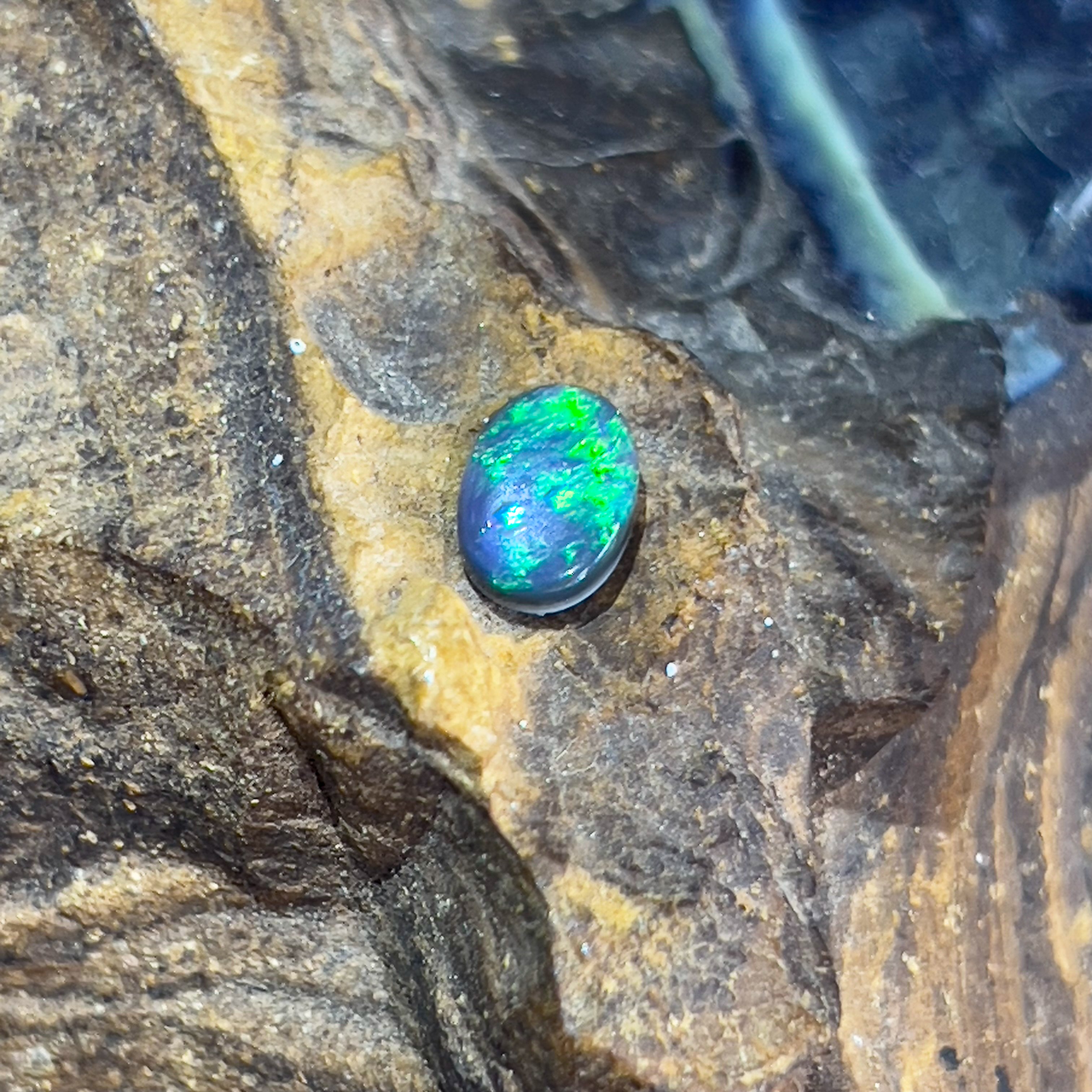 One Black Opal oval 0.84ct - Masterpiece Jewellery Opal & Gems Sydney Australia | Online Shop