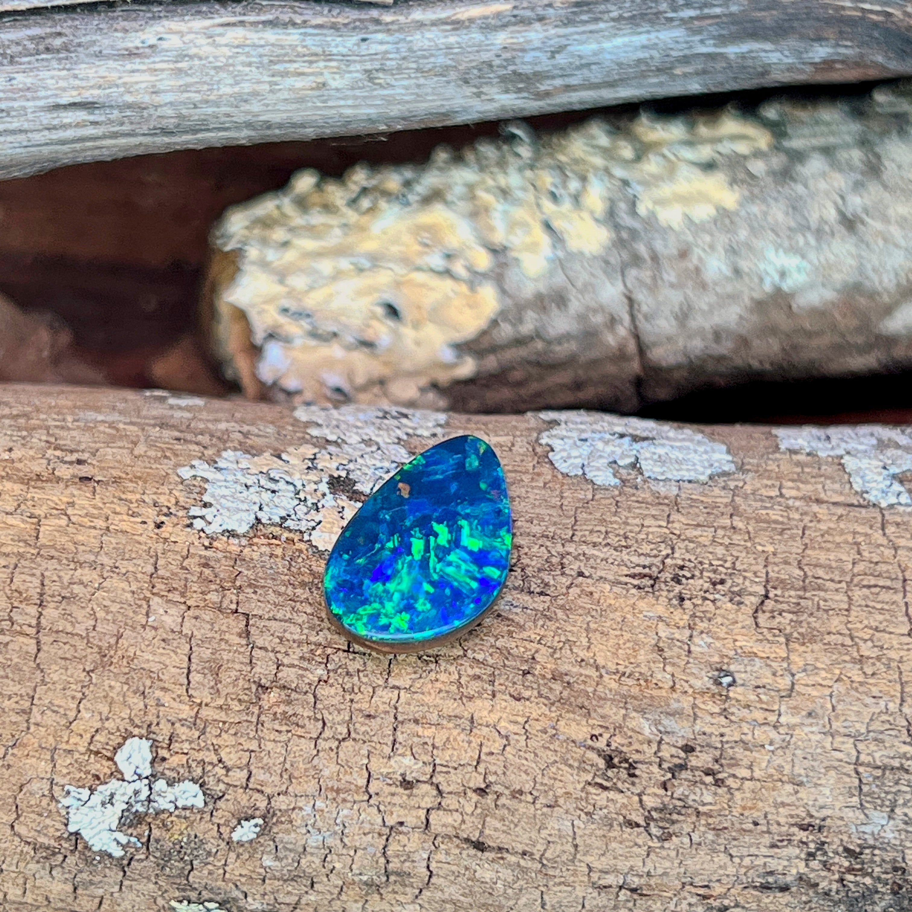 Loose 3.53ct drop shaped Australian opal doublet resting on weathered driftwood