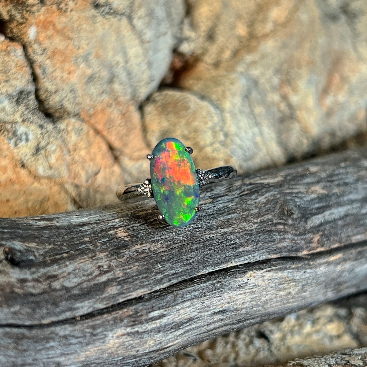 Australian black opal ring in 18kt white gold, green, yellow and red play of colour, shown on driftwood