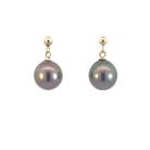 18kt Yellow Gold drop Black Pearl earrings - Masterpiece Jewellery Opal & Gems Sydney Australia | Online Shop