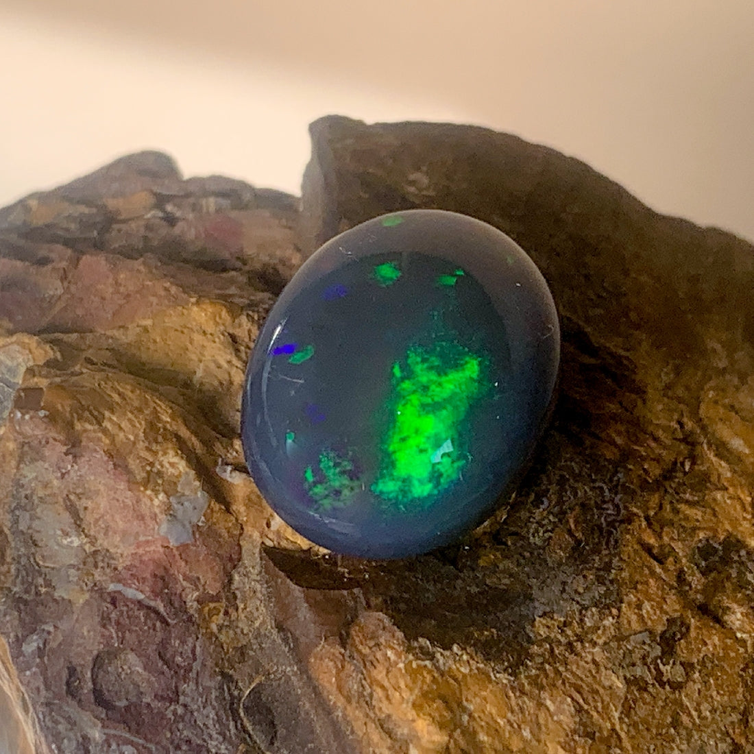 Black Opal Blue Green Oval 10.04ct - Masterpiece Jewellery Opal & Gems Sydney Australia | Online Shop