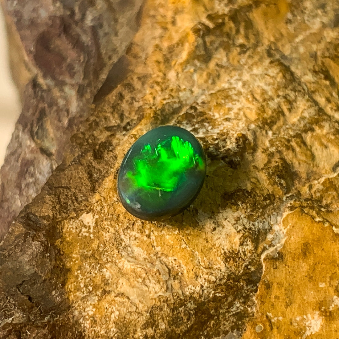 Black Opal 1.3ct Oval - Masterpiece Jewellery Opal & Gems Sydney Australia | Online Shop