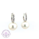 18kt White Gold huggie South Sea 11mm earrings