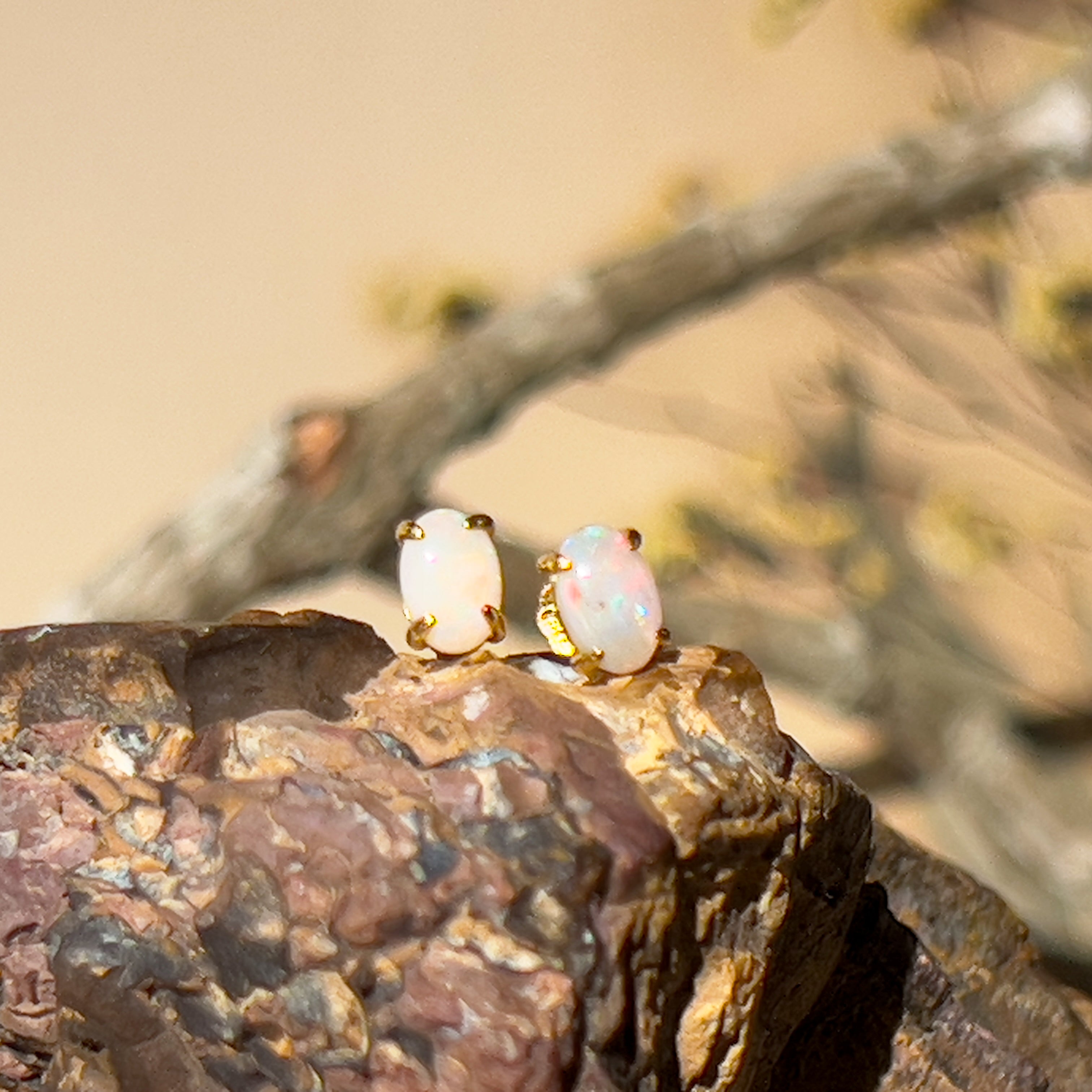 One pair of 9kt Yellow gold 5x3mm Crystal Opal earrings 4 claw studs - Masterpiece Jewellery Opal & Gems Sydney Australia | Online Shop