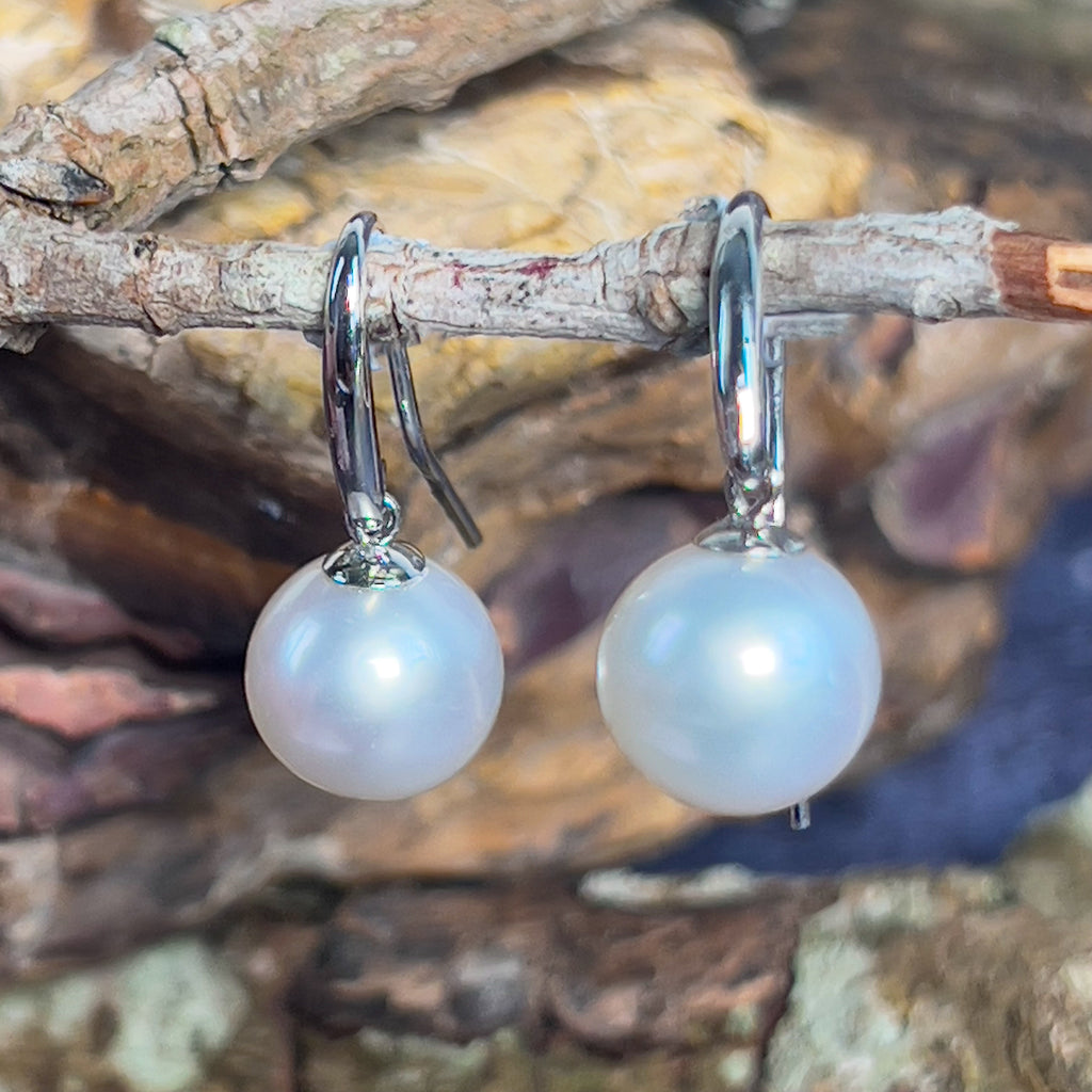 South Sea Pearl 10-11mm pair of dangling 18kt White Gold earrings - Masterpiece Jewellery Opal & Gems Sydney Australia | Online Shop