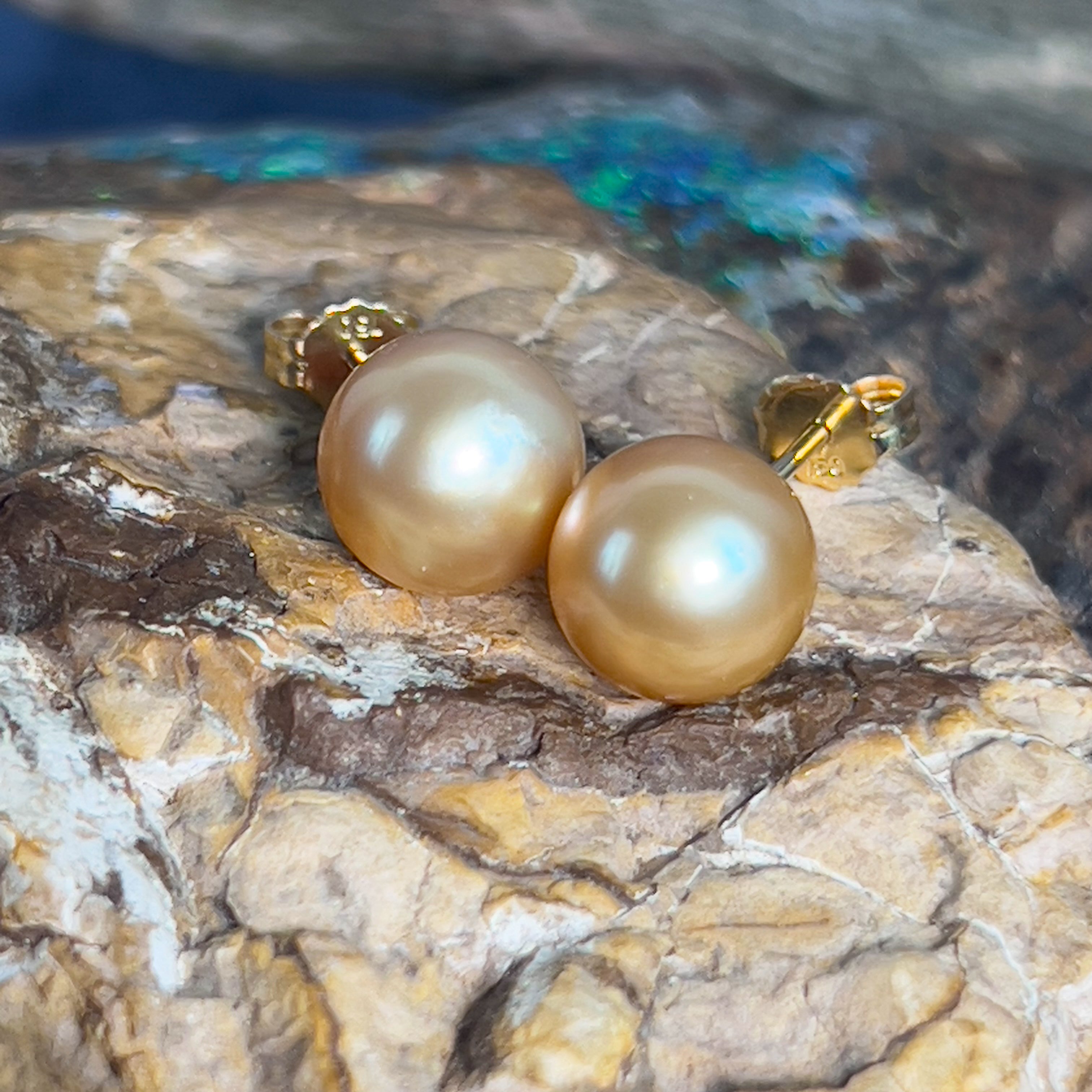 Pair of South Sea Golden pearl 9-10mm studs with 18kt Yellow Gold studs - Masterpiece Jewellery Opal & Gems Sydney Australia | Online Shop
