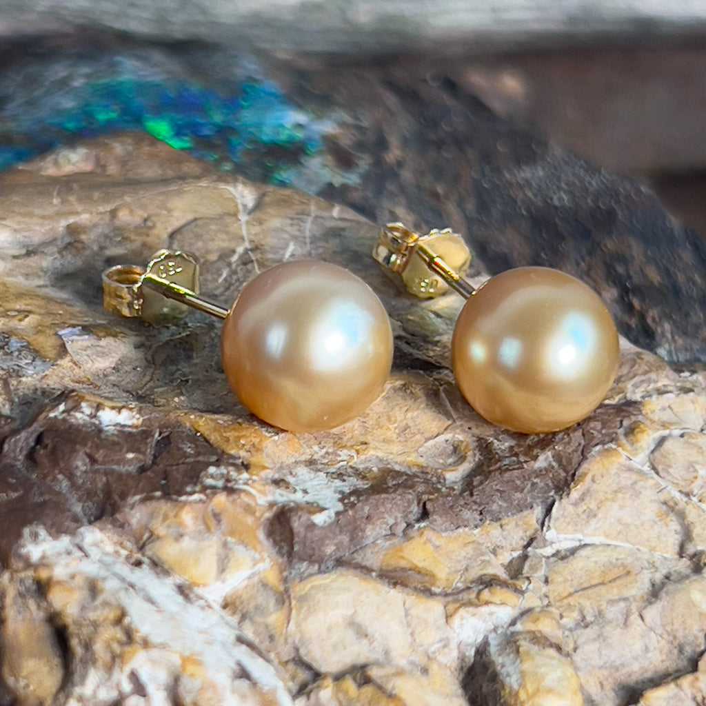 Pair of South Sea Golden pearl 9-10mm studs with 18kt Yellow Gold studs - Masterpiece Jewellery Opal & Gems Sydney Australia | Online Shop