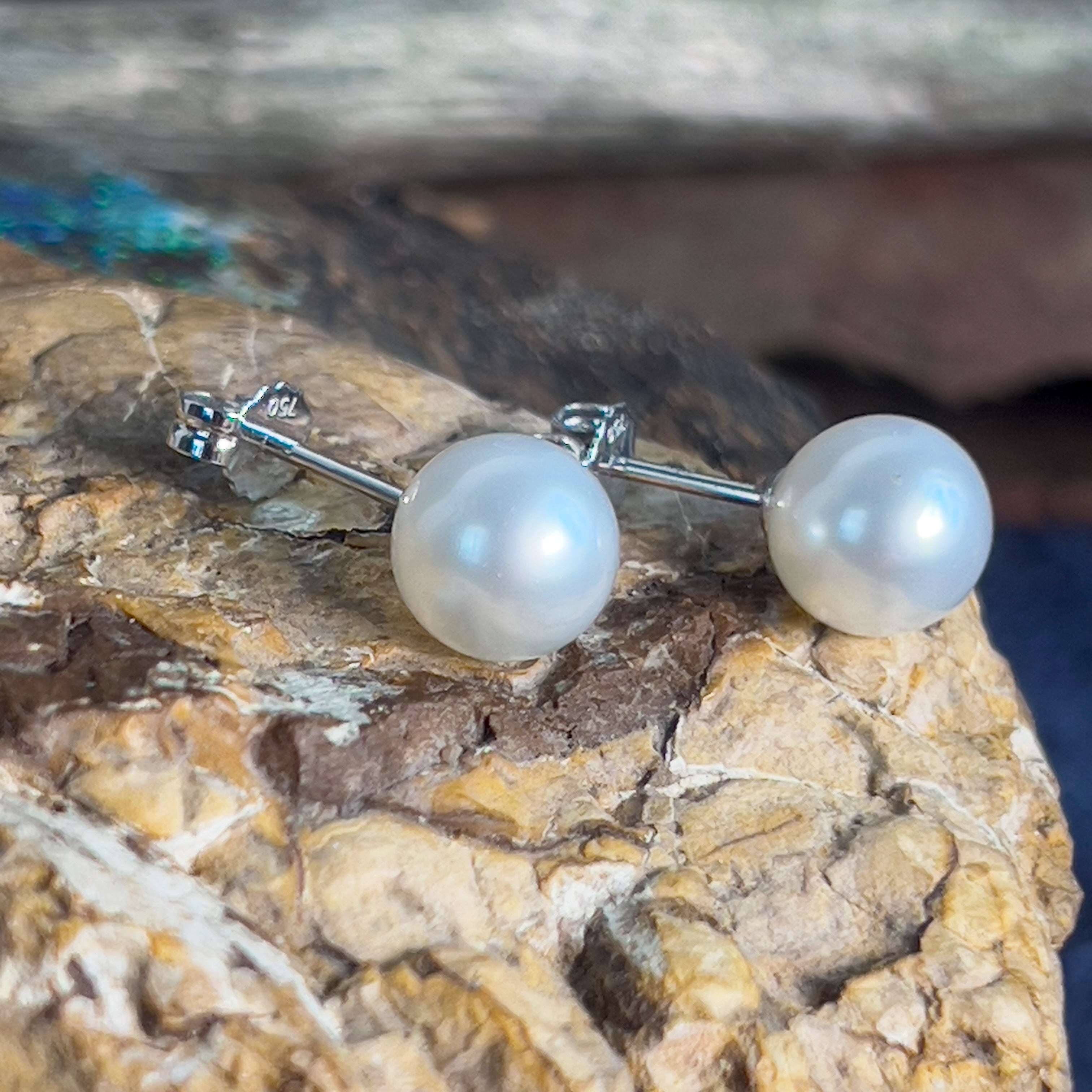 Pair of South Sea Pearls 8-9mm with 18kt White Gold studs - Masterpiece Jewellery Opal & Gems Sydney Australia | Online Shop