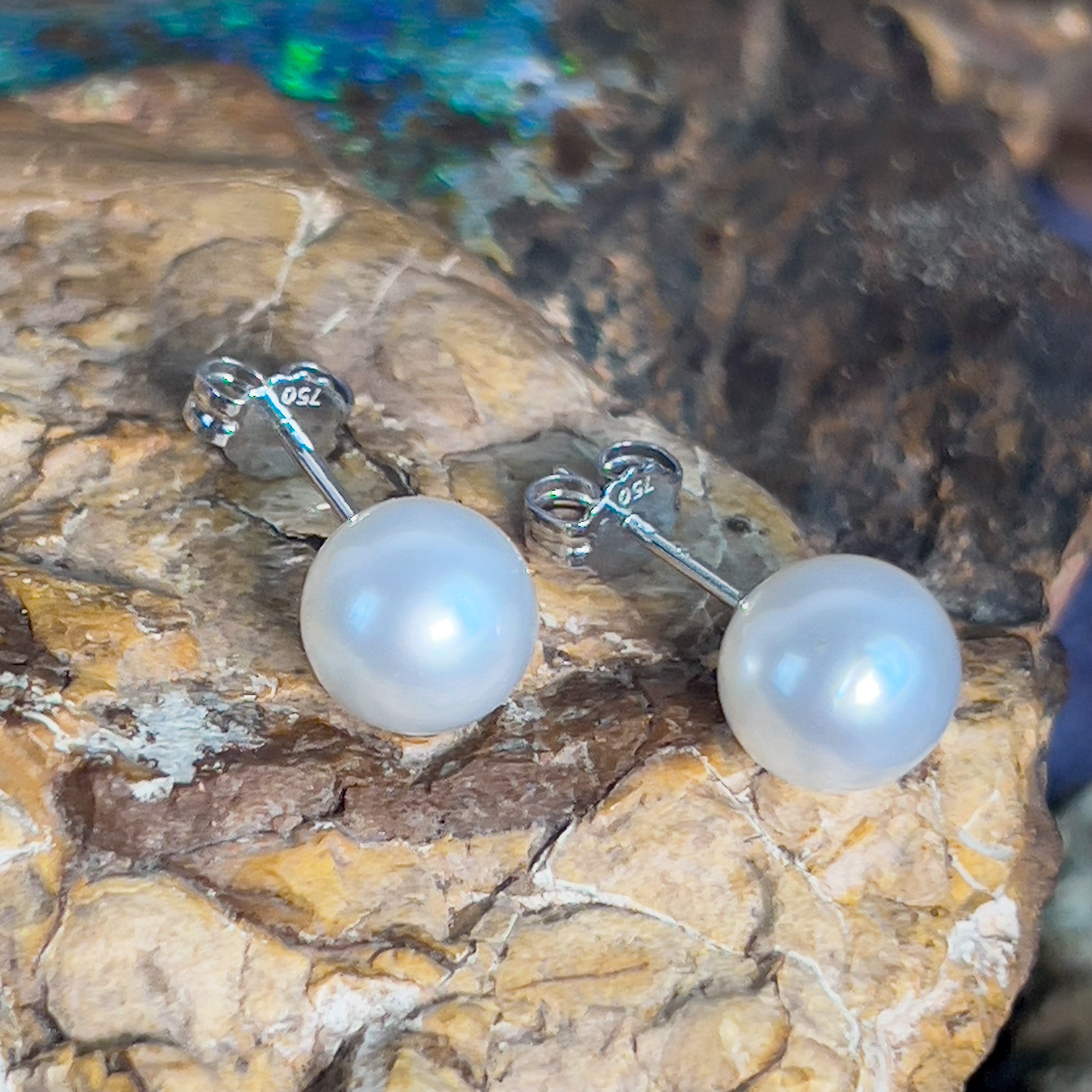 Pair of South Sea Pearls 8-9mm with 18kt White Gold studs - Masterpiece Jewellery Opal & Gems Sydney Australia | Online Shop