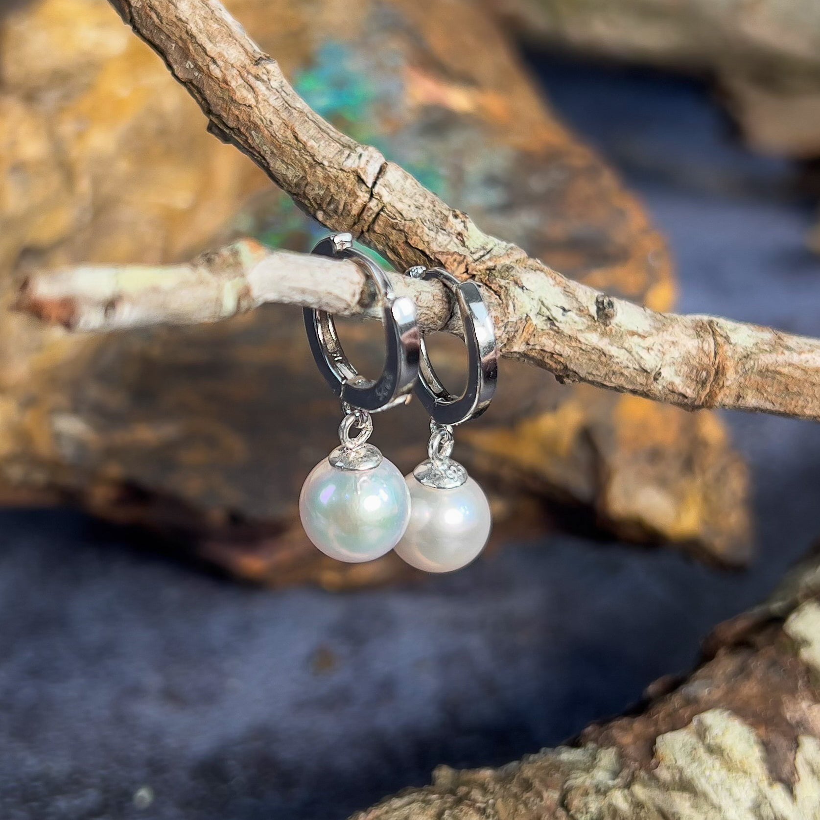 Pair of Sterling Silver 8-8.5mm Akoya pearls on huggies - Masterpiece Jewellery Opal & Gems Sydney Australia | Online Shop