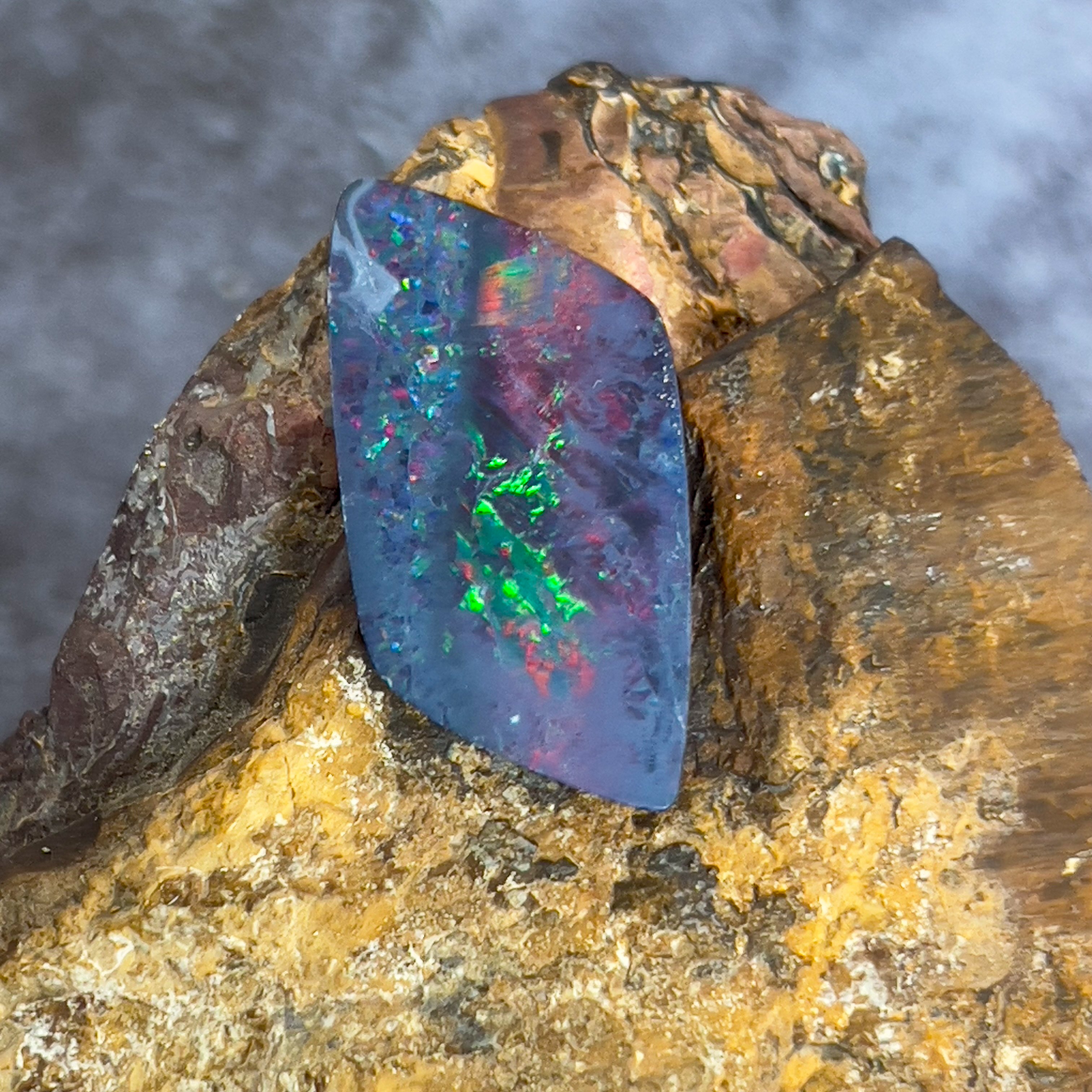 Loose large opal doublet 10ct - Masterpiece Jewellery Opal & Gems Sydney Australia | Online Shop