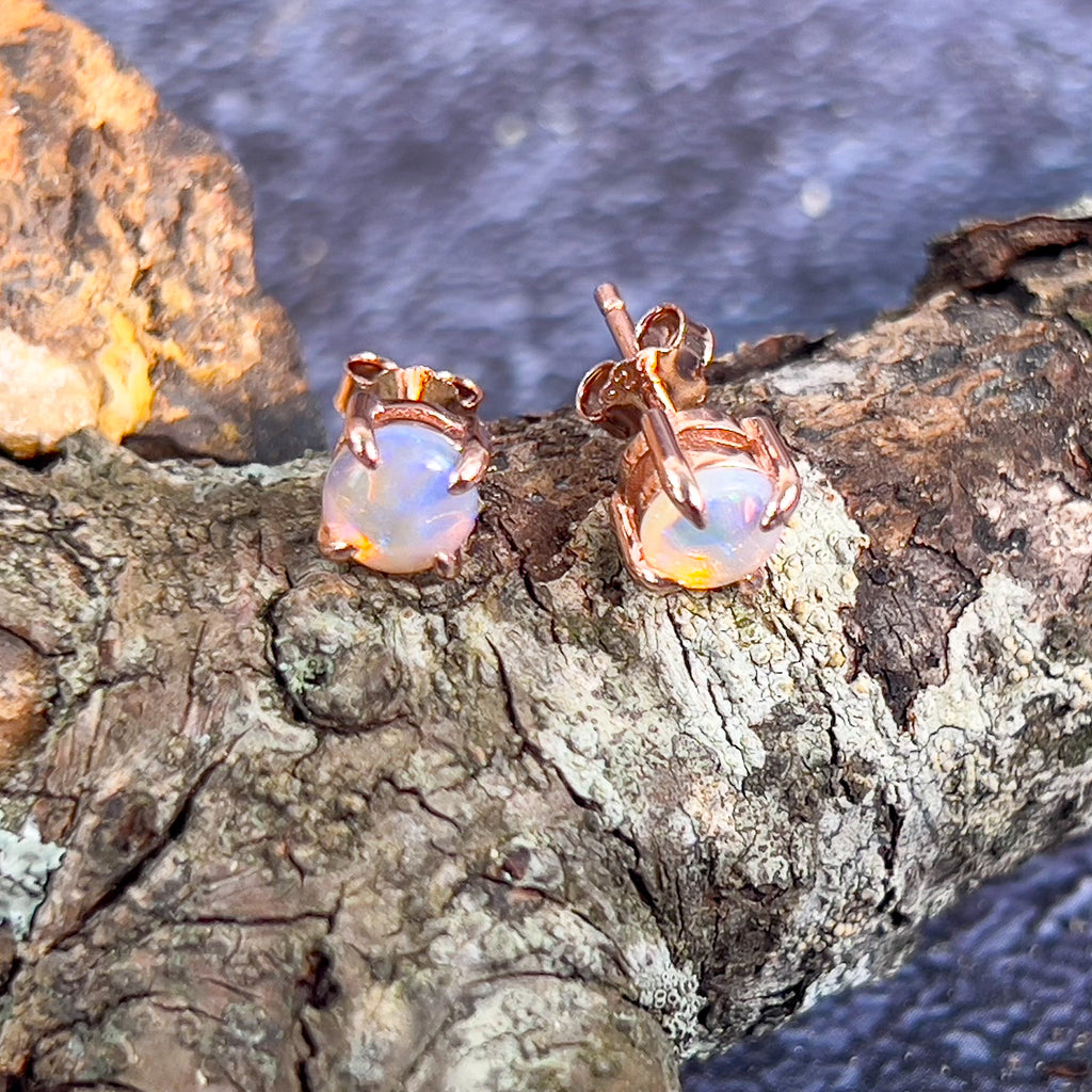 Rose Gold plated Sterling Silver 5mm Round Light Opal claw studs - Masterpiece Jewellery Opal & Gems Sydney Australia | Online Shop