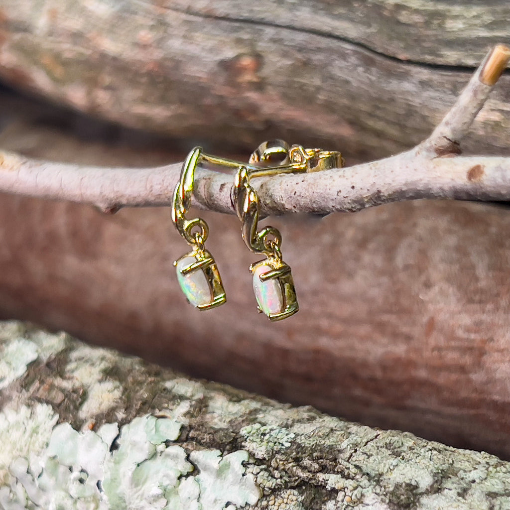 18kt Yellow Gold dangling earrings Black Opal 0.25ct - Masterpiece Jewellery Opal & Gems Sydney Australia | Online Shop