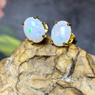 Gold Plated Silver 8x6mm White Opal Earring studs - Masterpiece Jewellery Opal & Gems Sydney Australia | Online Shop