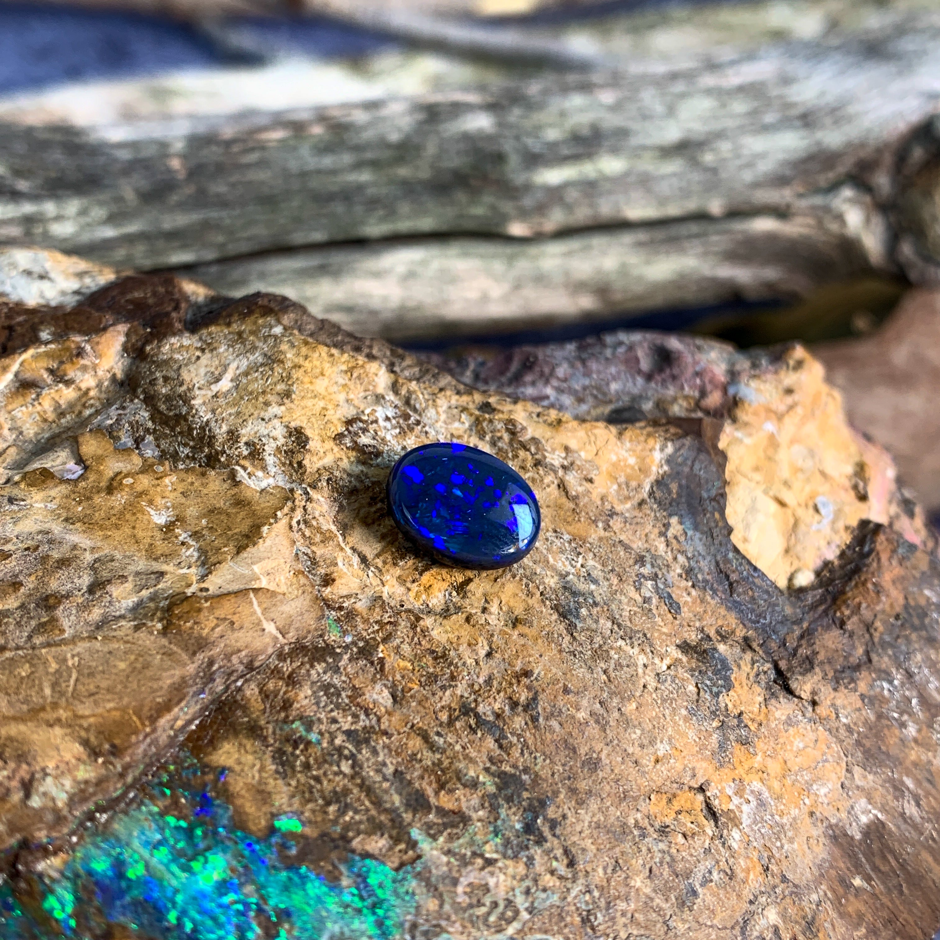 1.7ct Oval Black Opal loose Blue - Masterpiece Jewellery Opal & Gems Sydney Australia | Online Shop