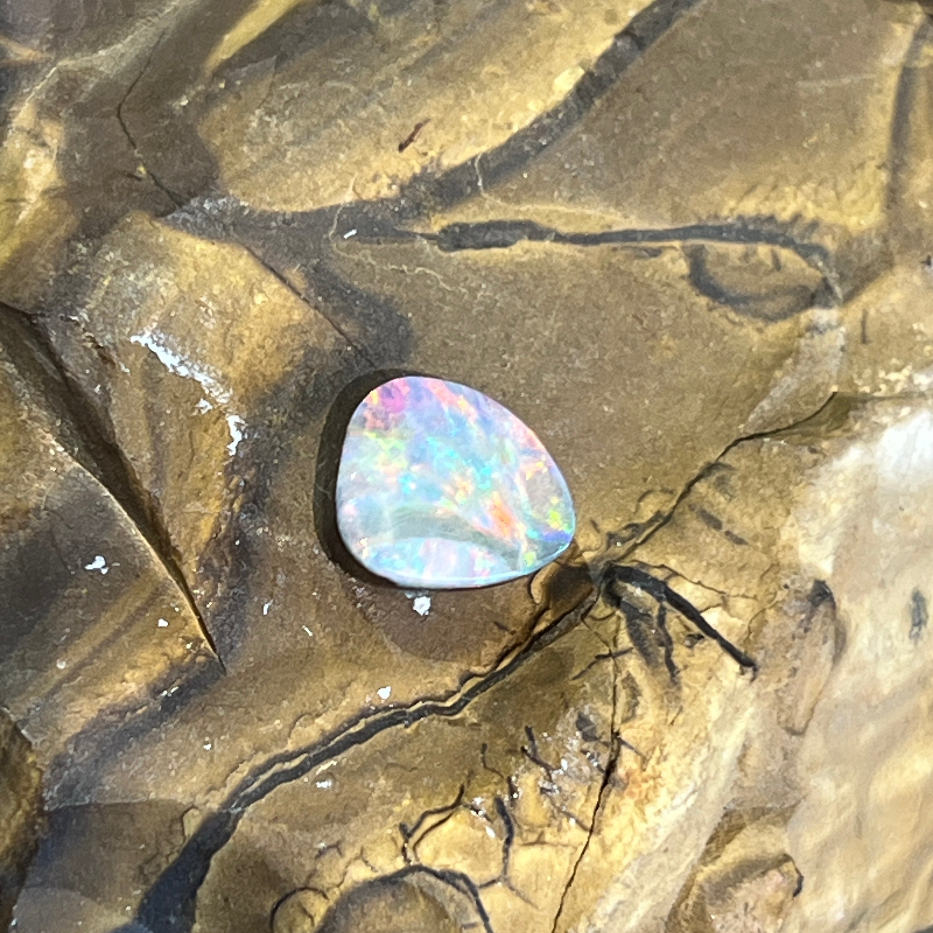 Australian boulder opal, 2.3ct, resting face up on ironstone in natural sunlight