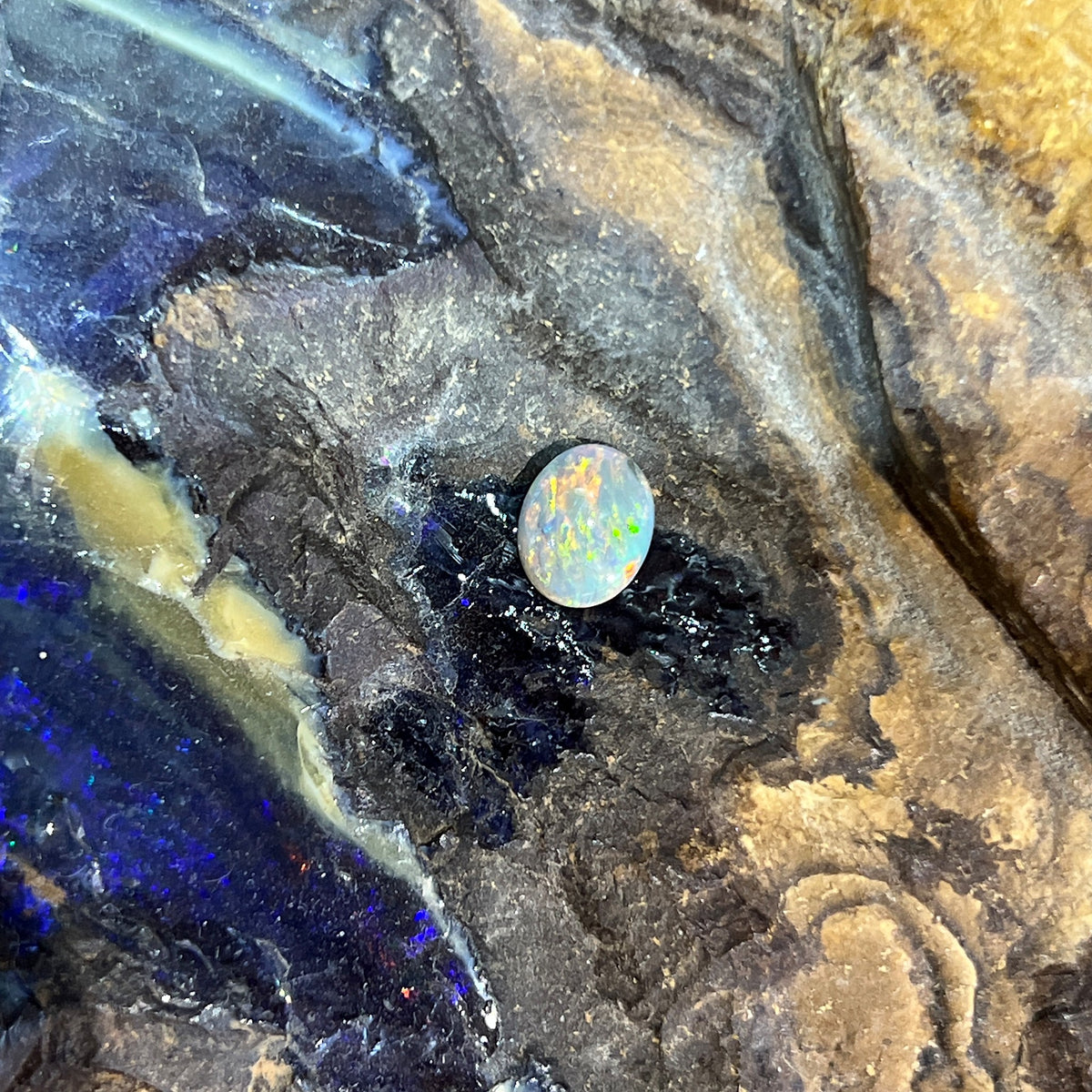 Australian black opal 0.85ct oval cabochon, 8.2x6.8mm, red, orange and yellow flashes on a grey base, loose and unset, on rock