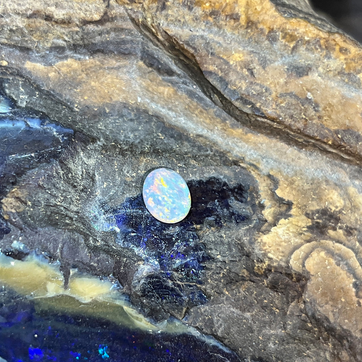 Oval 8.2x6.8mm solid black opal, 0.85ct, red, orange and yellow flashes on a grey base, on rock