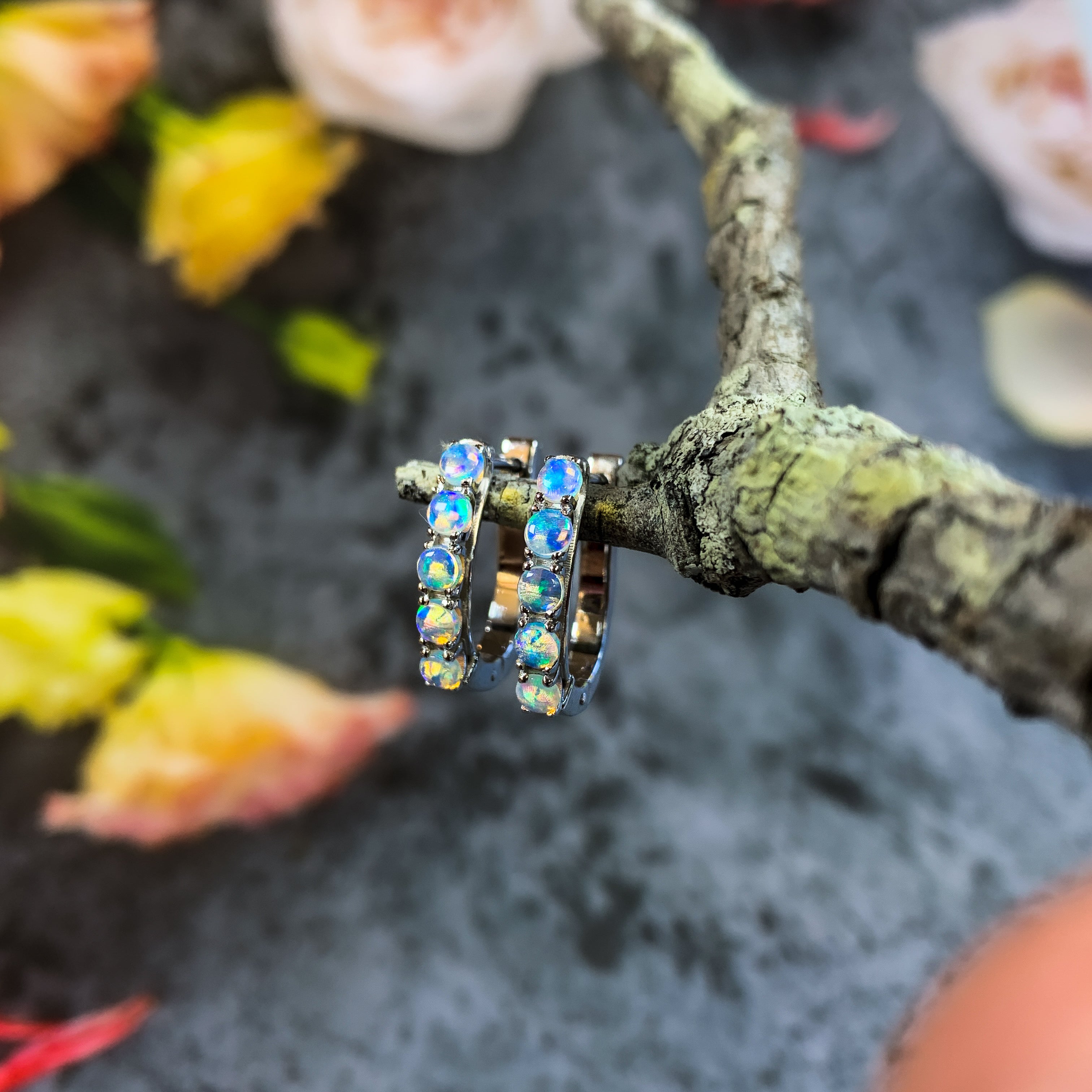 9kt White Gold pair of huggie Opal earrings - Masterpiece Jewellery Opal & Gems Sydney Australia | Online Shop