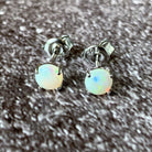 Sterling Silver 5mm Round Claw set White Opal studs - Masterpiece Jewellery Opal & Gems Sydney Australia | Online Shop