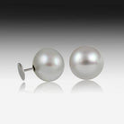 18KT WHITE GOLD SOUTH SEA PEARL STUDS - Masterpiece Jewellery Opal & Gems Sydney Australia | Online Shop