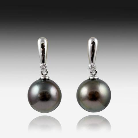 18KT WHITE GOLD BLACK PEARL EARRINGS - Masterpiece Jewellery Opal & Gems Sydney Australia | Online Shop